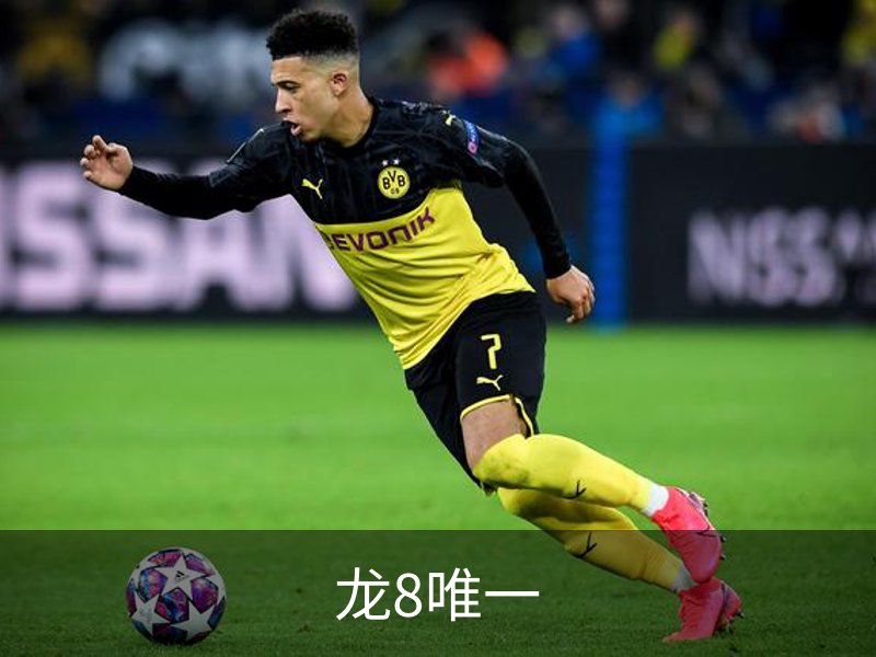 龙8唯一简介